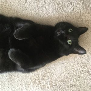 Meet your Posher, Jane